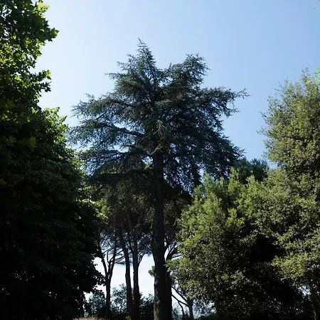 Relais Albalonga 2* Grottaferrata