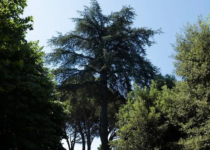 Relais Albalonga 2* Grottaferrata